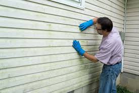 Best Siding Painting and Refinishing  in Dumas, TX